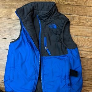 The north face fleece vest